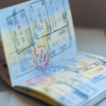 Understanding the Importance of the VEVO Check for Non-Citizens in Australia