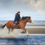 Unveiling Art of Horse Riding Commentary: An In-Depth Guide