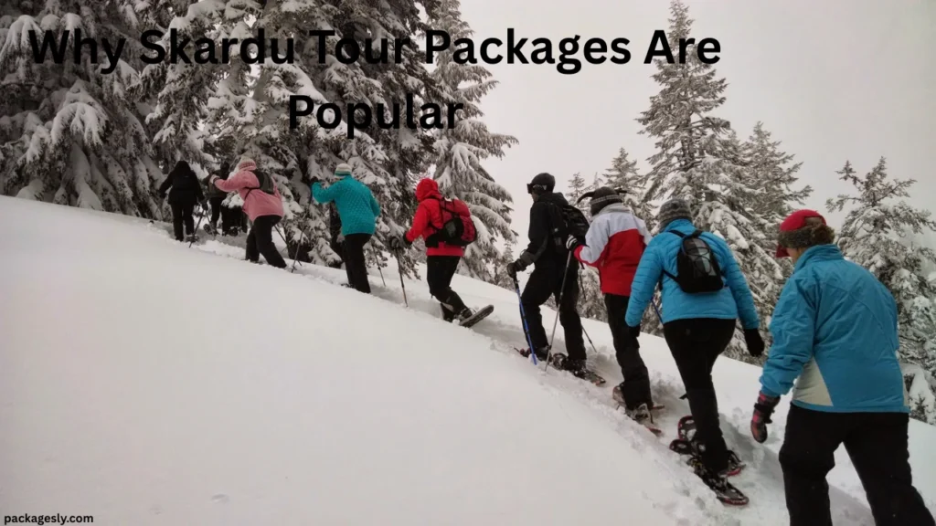 Why Skardu Tour Packages Are Popular