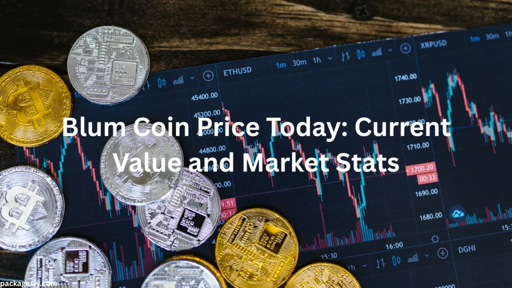 Blum Coin Price Today Current Value and Market Stats