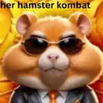daily cipher hamster kombat