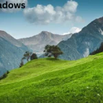 fairy meadows