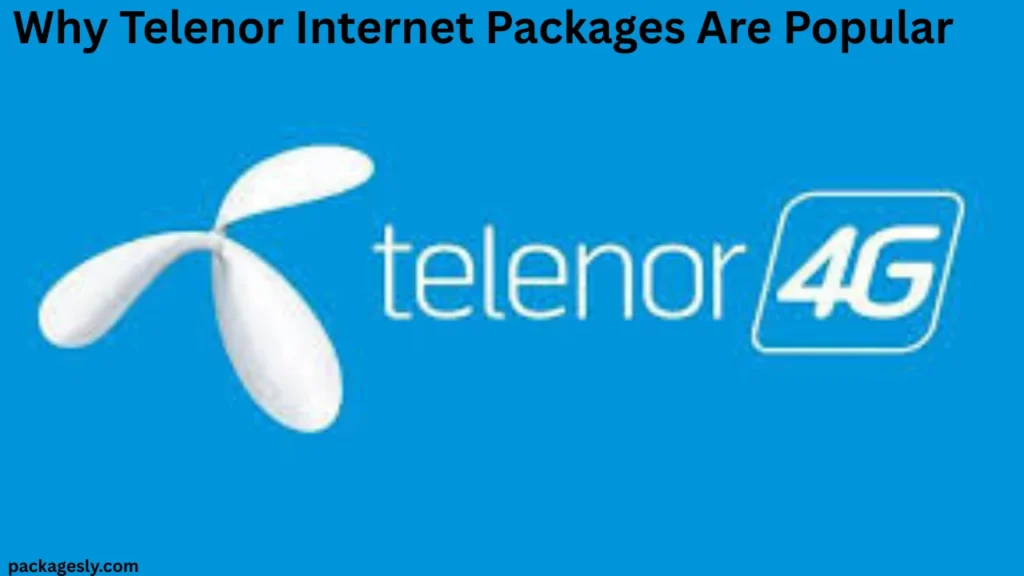 Why Telenor Monthly Packages Are So Popular Today