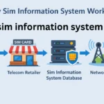 sim information system