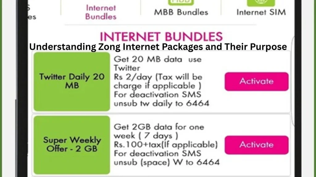 Understanding Zong Internet Packages and Their Purpose