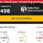 how to check jazz remaining package