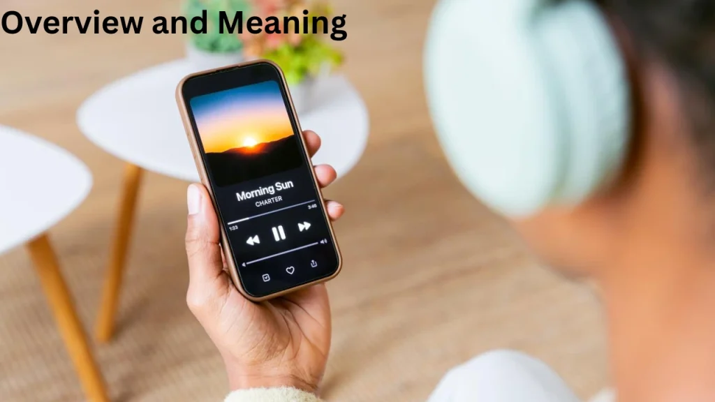 Overview and Meaning