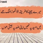 urdu shayari text