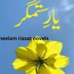 neelam riasat novels