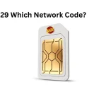 What Is 0329 Which Network Code