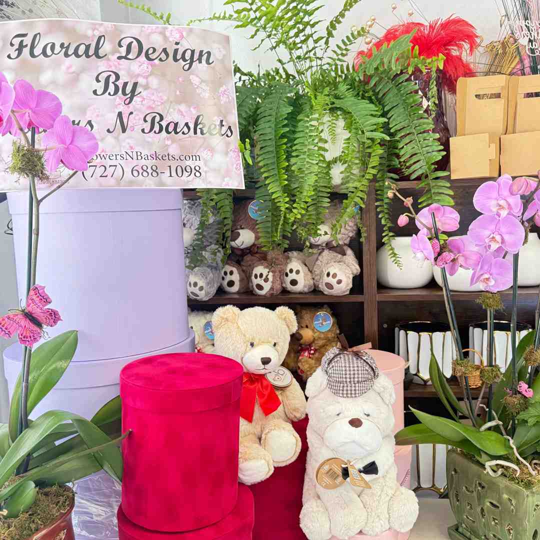 phalaenopsis orchid displays and potted botanical styling
